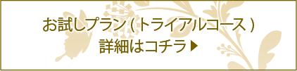 お試しプラン(トライアルコース)詳細はコチラ